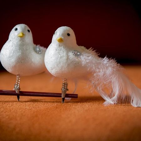 הוילה איפר Two White Pigeons חדר תמונה