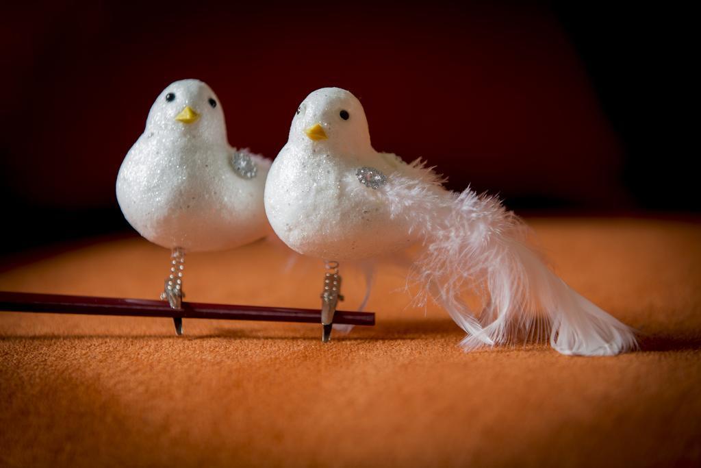 הוילה איפר Two White Pigeons חדר תמונה
